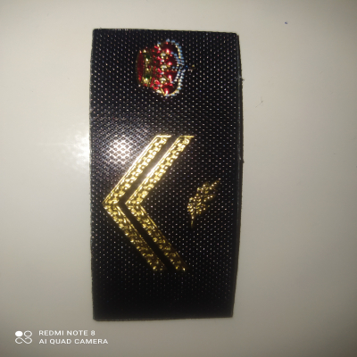 DIVISA ETIMETAL POLICIA PECHO CNP C/VELCRO