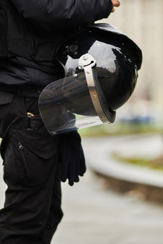 FUERZAS Y CUERPOS DE SEGURIDAD